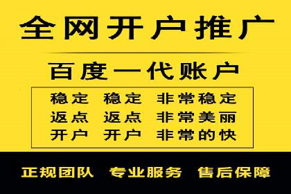 SEM主管实战：数据分析与策略调整